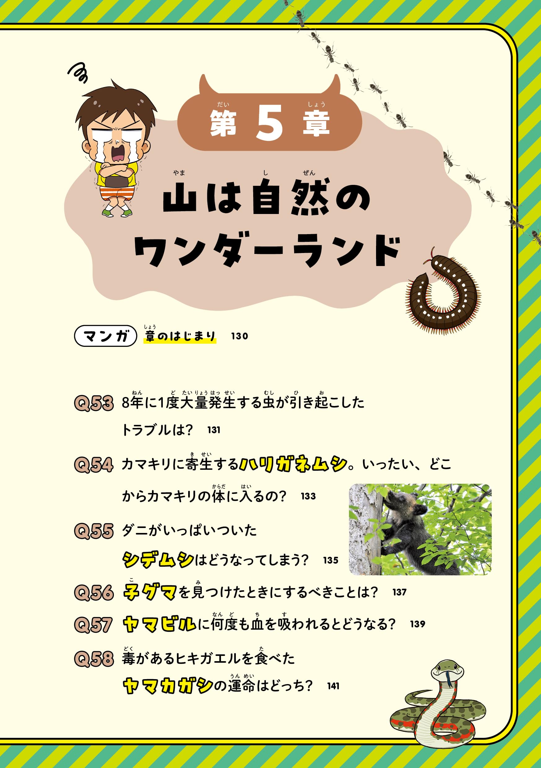 おーちゃんページ☆。.:＊・゜ Amazon.co.jp: おーちゃん: 本、バイオグラフィー、最新アップデート